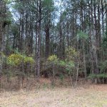 Union Parish Recreational land for sale