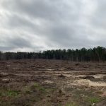 Timberland for sale in Union Parish