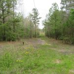 Timberland property for sale in Nevada County