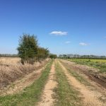 Evangeline Parish Agricultural property for sale