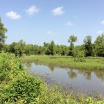 Recreational land for sale in Natchitoches Parish