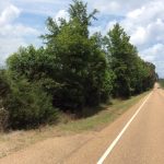 Agricultural property for sale in Red River Parish