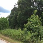 Development property for sale in Caldwell Parish