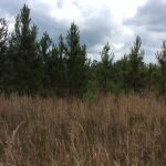 Natchitoches Parish Recreational property for sale