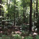 Hinds County Investment property for sale