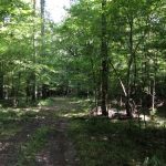 Investment property for sale in Hinds County