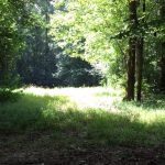 Recreational land for sale in Hinds County