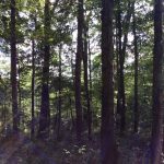 Hinds County Recreational property for sale