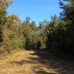Caldwell Parish Recreational land for sale