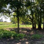 Catahoula Parish Commercial land for sale