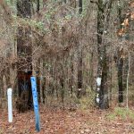 Hunting property for sale in Catahoula Parish