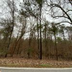 Hunting land for sale in Catahoula Parish