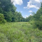 Caldwell Parish Recreational land for sale