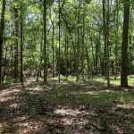 Hunting property for sale in Sabine Parish
