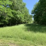 Recreational land for sale in Concordia Parish
