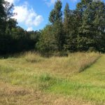 Calcasieu Parish Agricultural land for sale