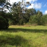 Calcasieu Parish Investment land for sale