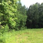 Beauregard Parish Recreational land for sale