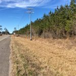 Timberland property for sale in Allen Parish