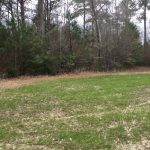Timberland property for sale in West Feliciana Parish